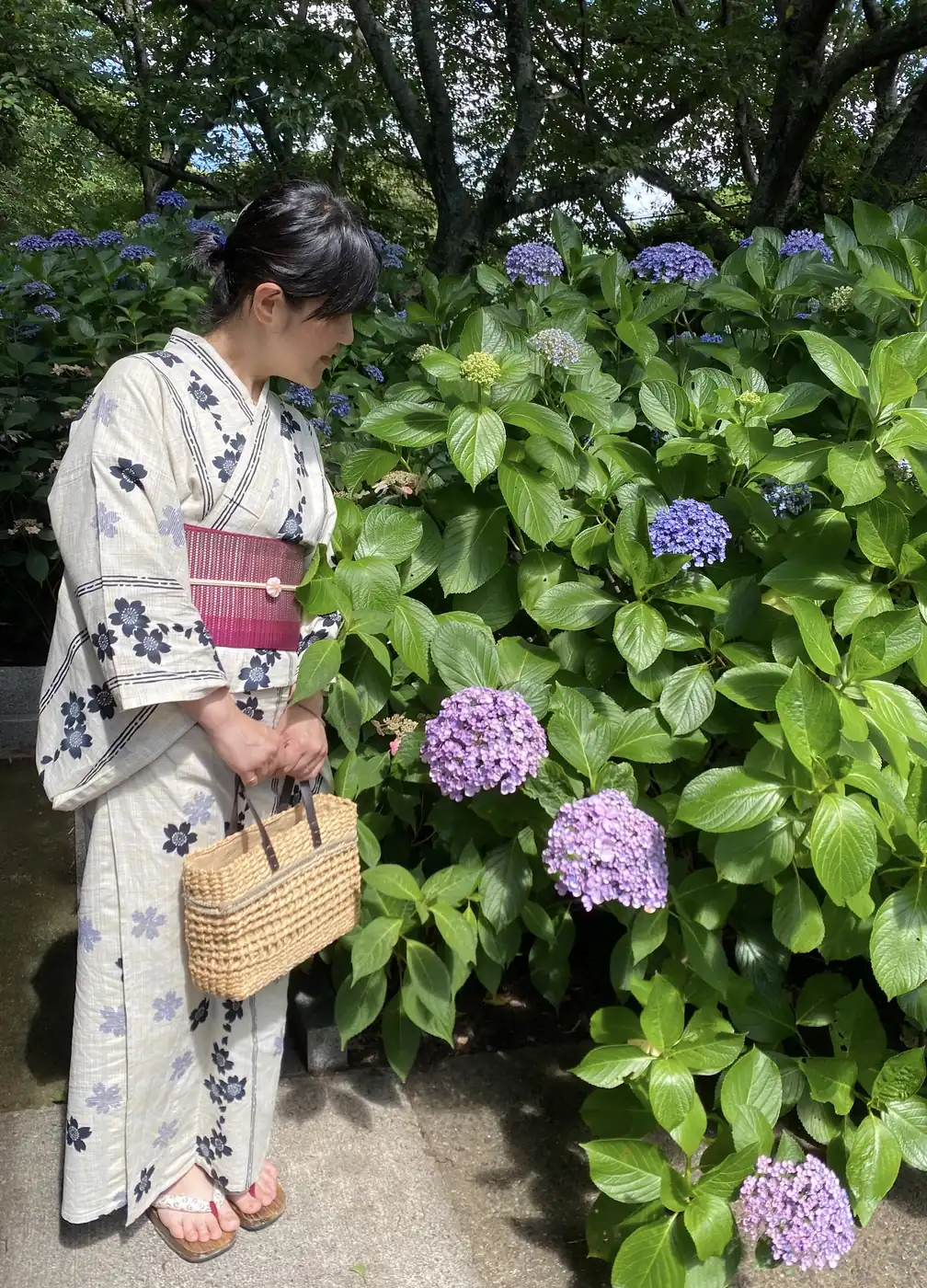 紫陽花の季節に浴衣で出かけた写真