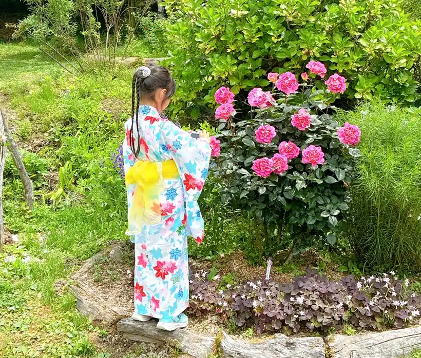 浴衣姿の子どもが花を見ている後ろ姿